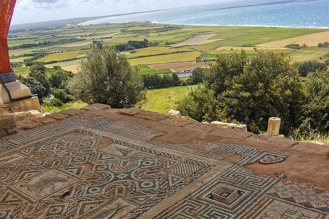 Pafos - Archaeology & Beauty Tour From Limassol - Value and Customization Options