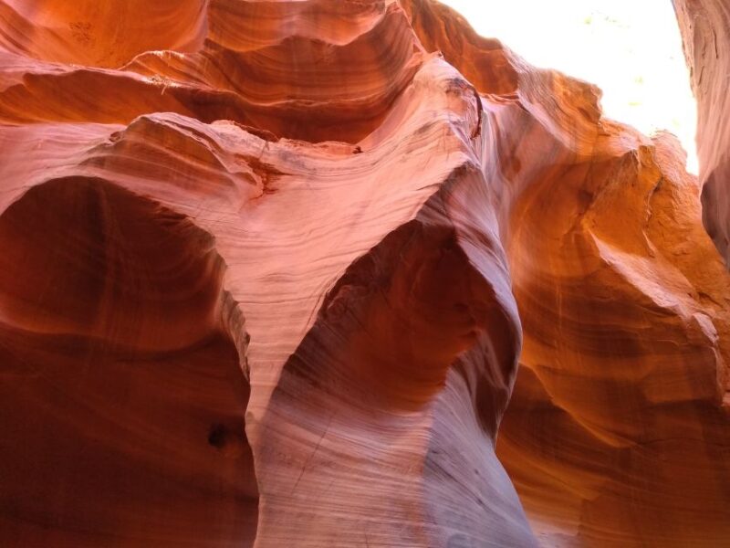 Page: Lower Antelope Canyon Entry and Guided Tour - Customer Reviews