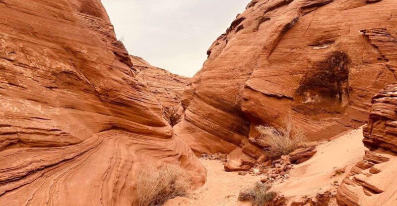 Page: Mountain Sheep Slot Canyon Guided Hiking Tour - Key Points
