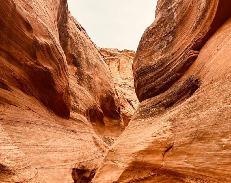 Page: Mountain Sheep Slot Canyon Guided Hiking Tour - Experience Highlights