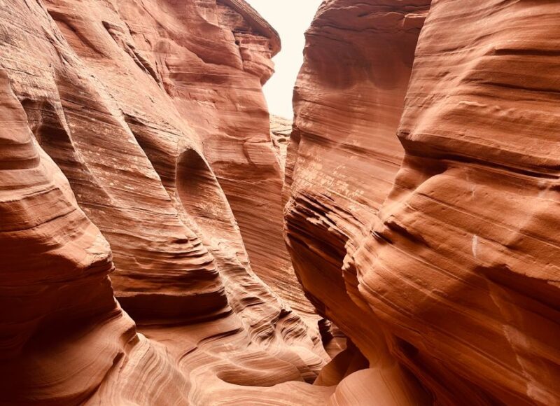 Page: Mountain Sheep Slot Canyon Guided Hiking Tour - Meeting Point