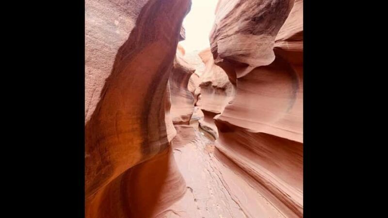 Page: Rams Head Canyon Guided Hike - An In-Depth Look at the Rams Head Canyon Guided Hike