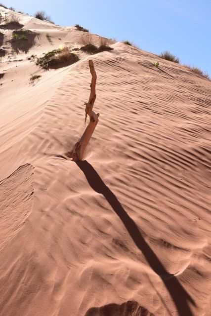 Page: Traditional Navajo Hogan Stay & Antelope Canyon Tour - Hogan Details and Amenities