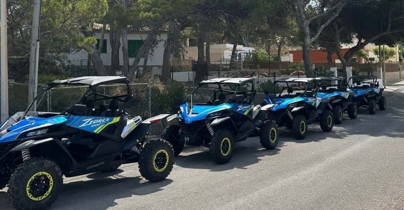 Paguera: 2 Hour Buggy Tour - Booking Options