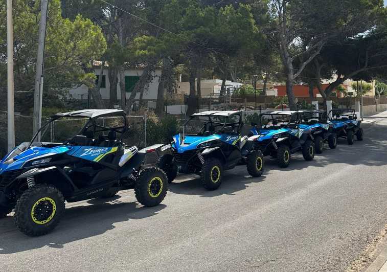 Paguera: Malgrats Island and Sant Elm Buggy Tour - Key Points