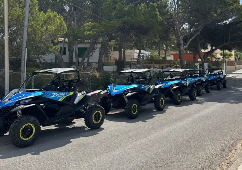 Paguera: Malgrats Island and Sant Elm Buggy Tour - Booking Information