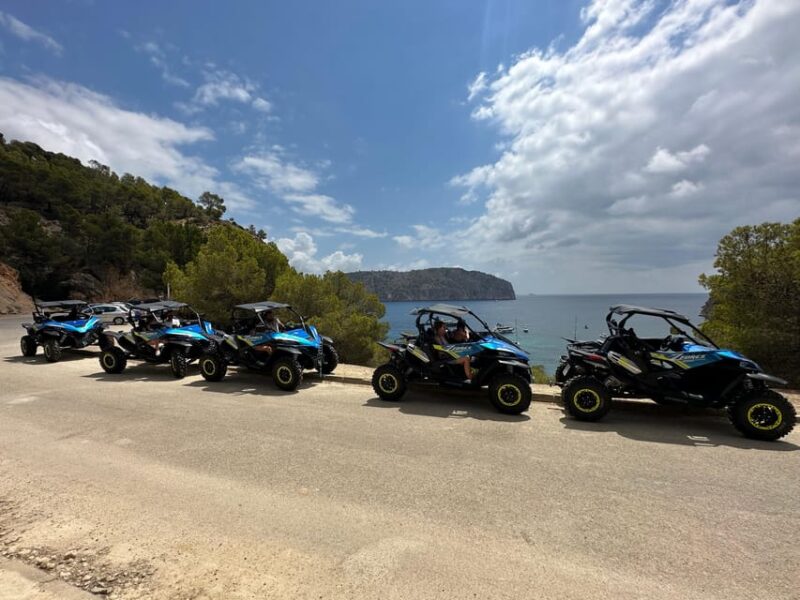 Paguera: Malgrats Island and Sant Elm Buggy Tour - Inclusions