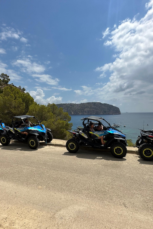 Paguera: Malgrats Island and Sant Elm Buggy Tour - Requirements