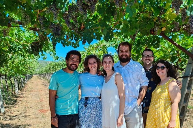 Pagus Wine Tours® - a Taste of Valpolicella - Half Day Wine Tour - Tour Schedule