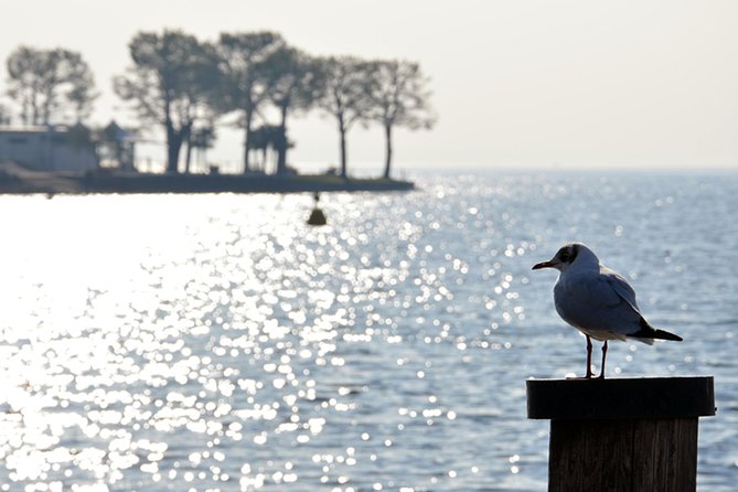 Pagus Wine Tours® - Lake Garda and Amarone - Full Day Wine Tour - Meeting Point and Schedule