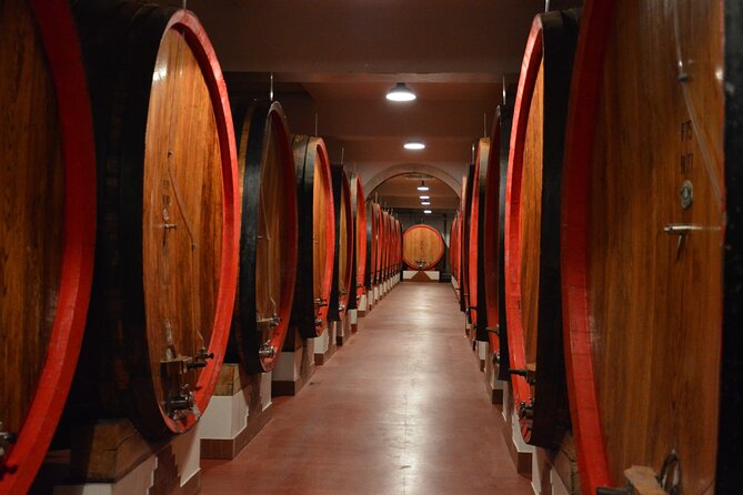 Pagus Wine Tours® - Soave and Amarone - Half Day Wine Tour - Inclusions and Transport