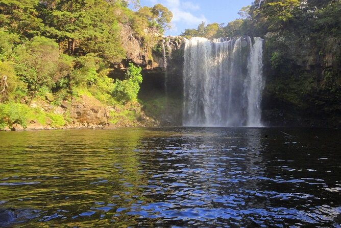 Pahia Shore Excursion: Private Half-Day Bay of Islands Tour - Marine Wildlife Encounters