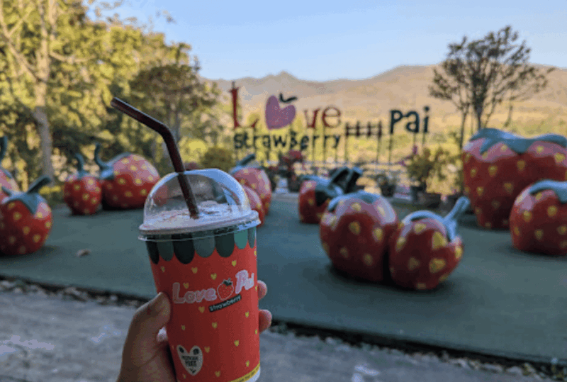 Pai: Full-Day Private Sightseeing Tour - Included and Excluded
