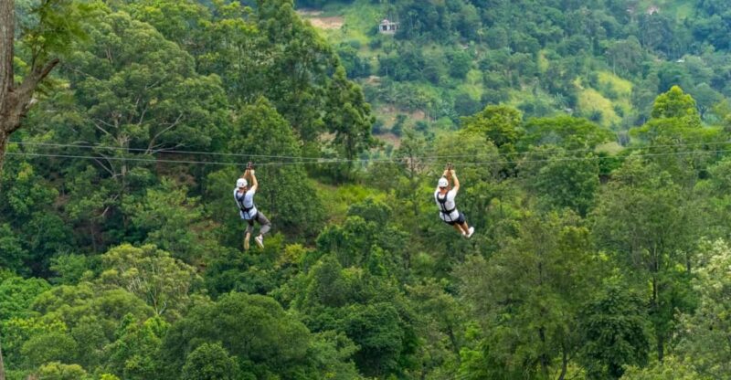 Pai: Jungle Ziplining Adventure With 16 Platforms - Zipline Platform Highlights