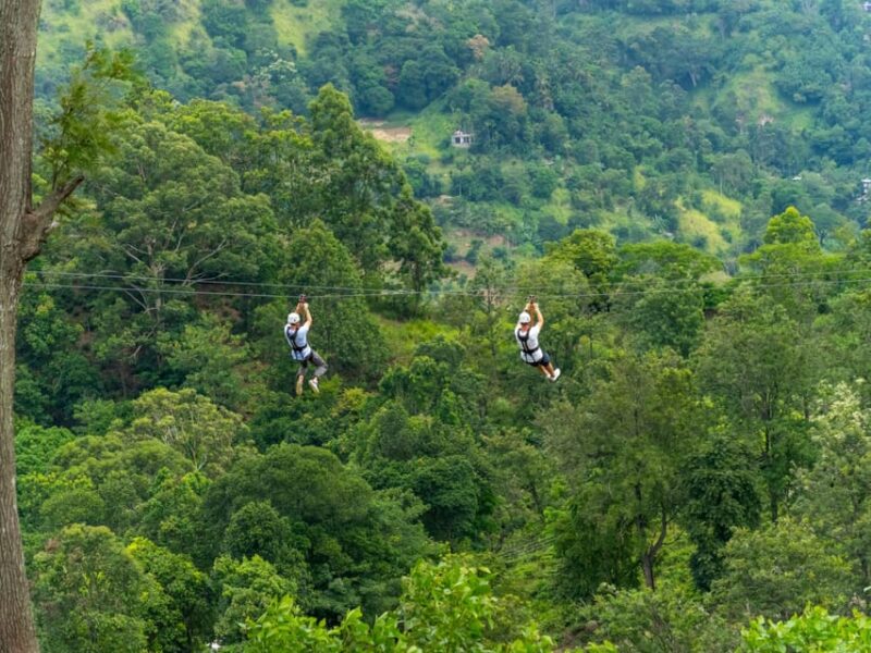 Pai: Jungle Ziplining Adventure With 16 Platforms - Professional Guide and Safety