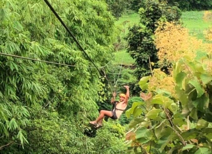 Pai: Jungle Ziplining Adventure With 16 Platforms - Scenic Views and Wildlife