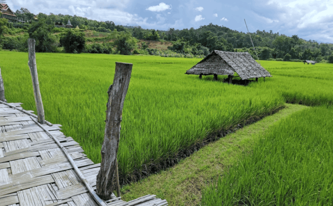 Pai: Mae Hong Son Highlights - Full Day Private Car Tour - Phra That Doi Kong Mu