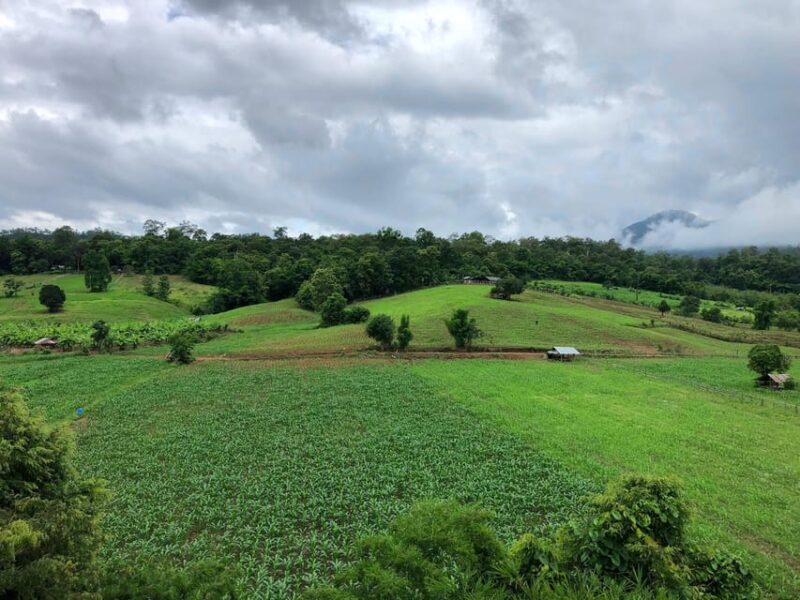 Pai: Ultimate Ziplining Adventure Through the Jungle - Tour Duration and Inclusions