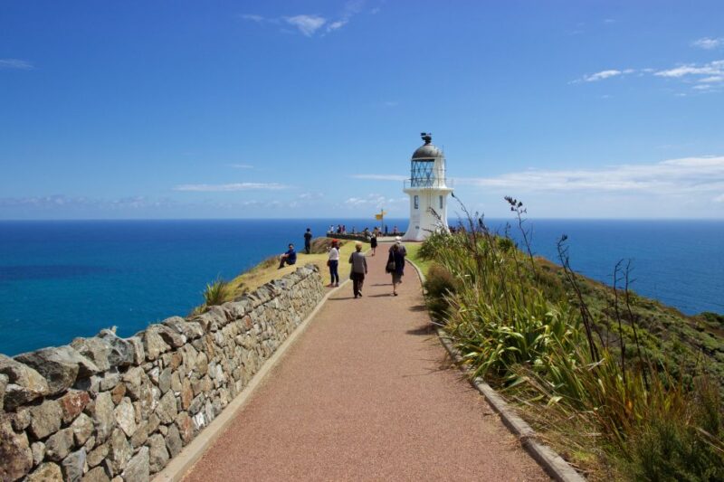 Paihia: Cape Reinga and Ninety Mile Beach Trip With Lunch - Transportation and Guide