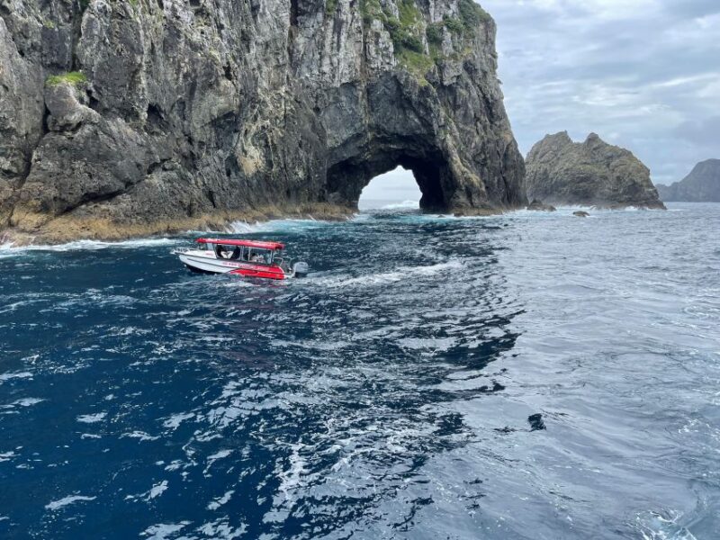 Paihia: Glass Bottom Boat Tour to the Hole in the Rock - Key Points