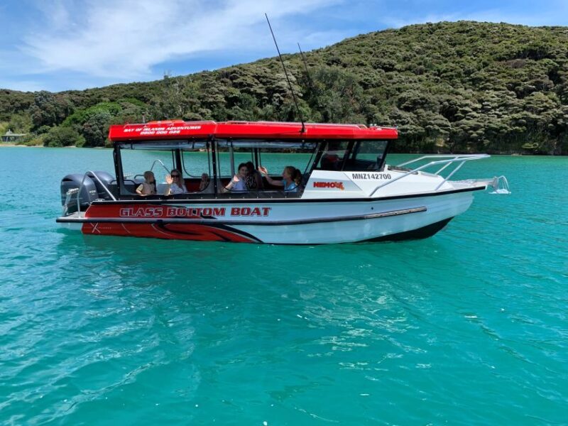 Paihia: Glass Bottom Boat Tour to the Hole in the Rock - Customer Reviews and Ratings