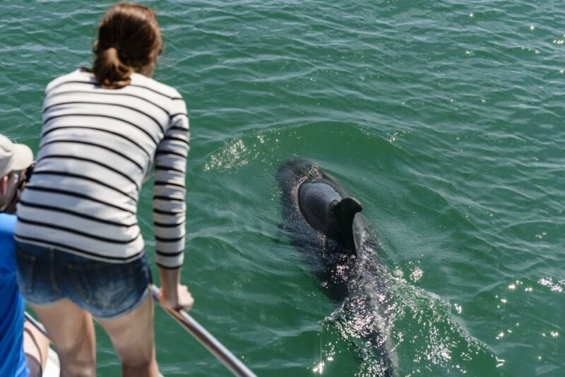 Paihia/Russell: Hole in the Rock and Bay of Islands Cruise - Onboard Amenities