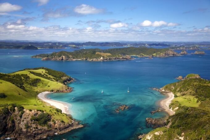 Paihia/Russell: Hole in the Rock and Bay of Islands Cruise - Wildlife Viewing Opportunities