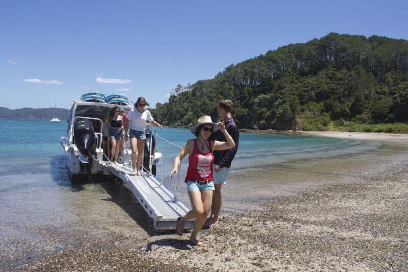Paihia/Russell: Hole in the Rock Cruise With 2 Island Stops - Tour Experience