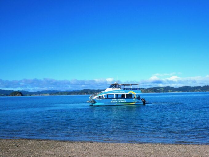 Paihia/Russell: Hole in the Rock Cruise With 2 Island Stops - Cancellation Policy and Payment