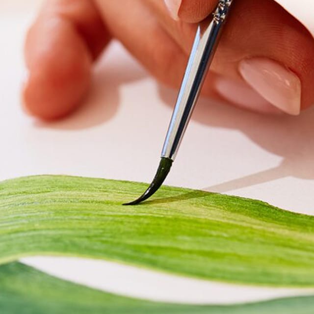 Paint and Wine Evening - Experience Highlights