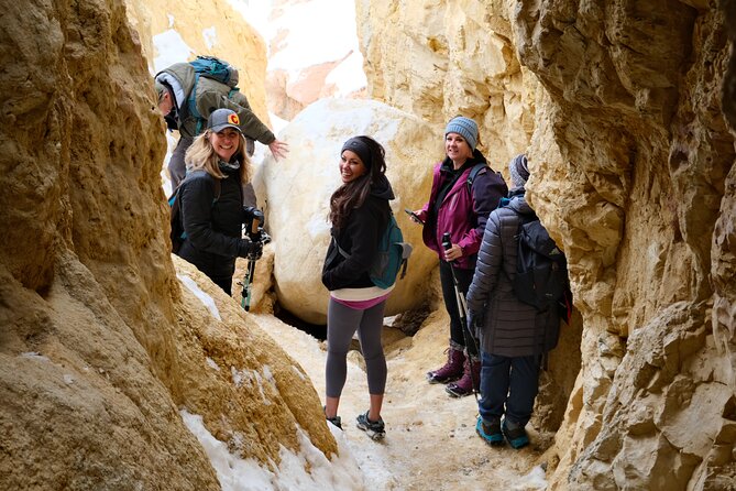 Paint Mines Interpretive Park Guided Half Day Hike - Key Points