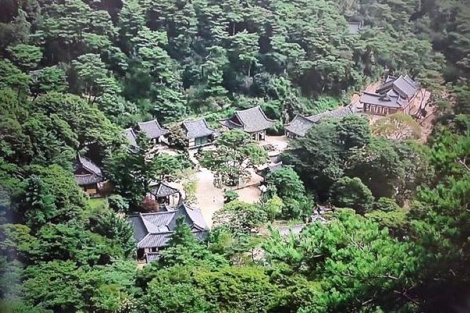 Paju Imjingak DMZ Tour Review - Highlights of the Tour