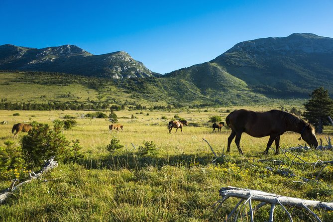 Paklenica National Park Admission Ticket - Ticket Exchange Process