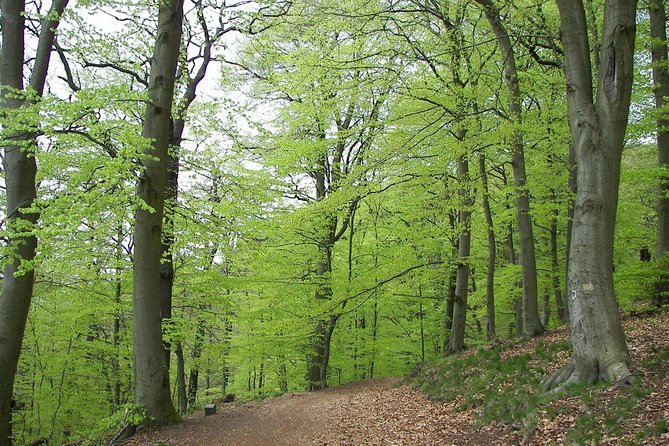 Paklenica National Park Admission Ticket - Customer Service and Assistance