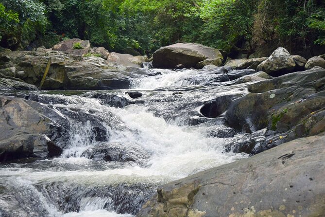 Pala U Waterfall in Kaeng Krachan Jungle With Private Guide From Hua Hin - Highlights of Pala U Waterfall