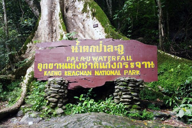 Pala U Waterfall in Kaeng Krachan Jungle With Private Guide From Hua Hin - Private Guides Role and Expertise
