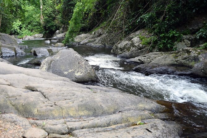 Pala U Waterfall in Kaeng Krachan Jungle With Private Guide From Hua Hin - Encountering Wildlife and Nature