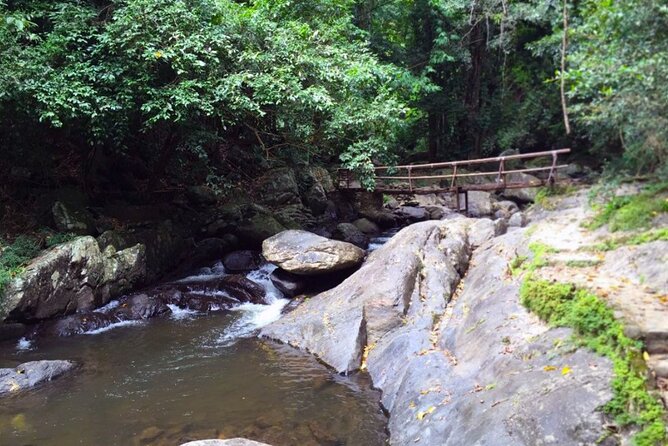 Pala U Waterfall in Kaeng Krachan Jungle With Private Guide From Hua Hin - Convenient Transportation From Hua Hin