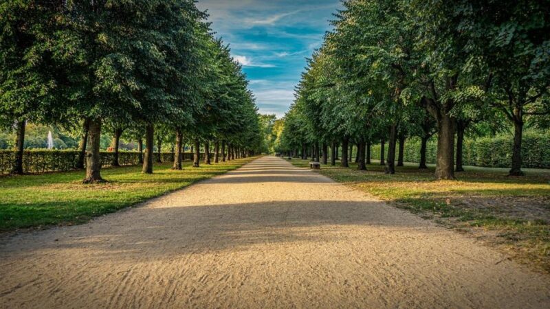 Palace of Queen Elisabeth Tour - Tour Features