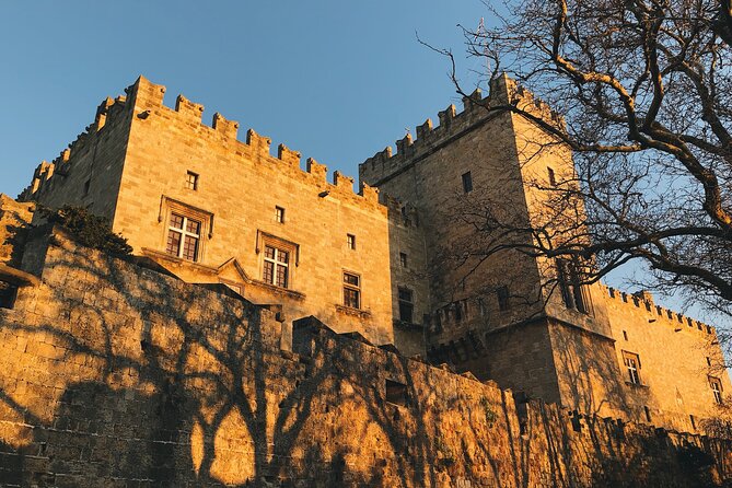 Palace of the Grand Master Ticket & Guided Private Tour - Accessibility and Participation