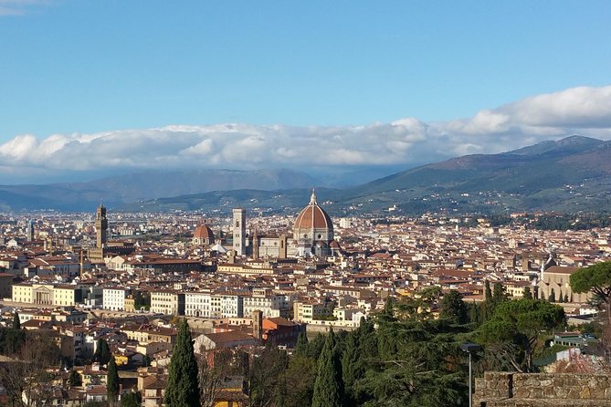 Palaces and Piazzas: A Self-Guided Audio Tour of Florence - Discovering Medici Palaces