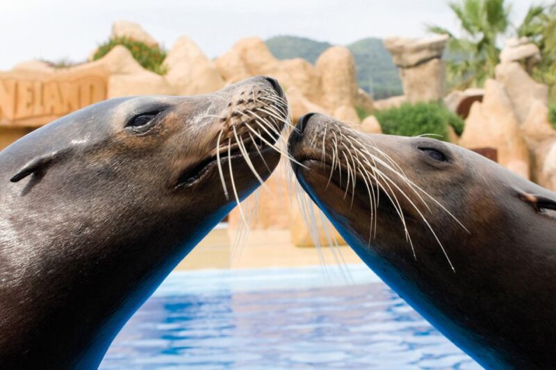 Palafolls: Marineland Dolphinarium and Water Park Tickets - Key Points