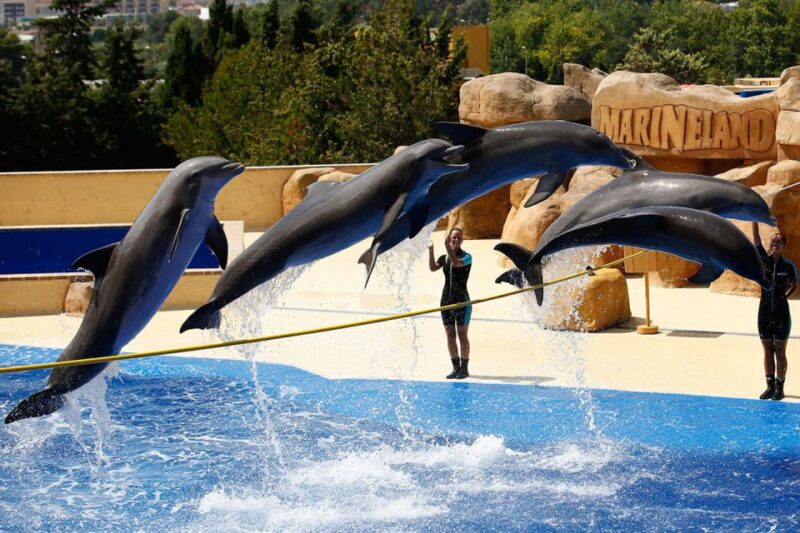 Palafolls: Marineland Dolphinarium and Water Park Tickets - Visitor Guidelines and Restrictions