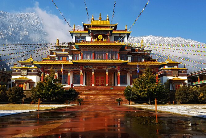 Palampurs Guided Day Tour: Discover the Tea Capital. - Key Points