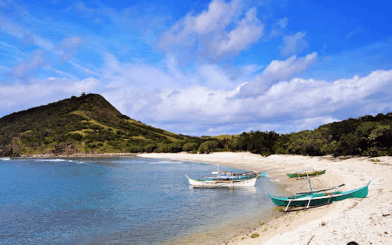 PALAUI REEF TOUR (Private) - Tour Activities