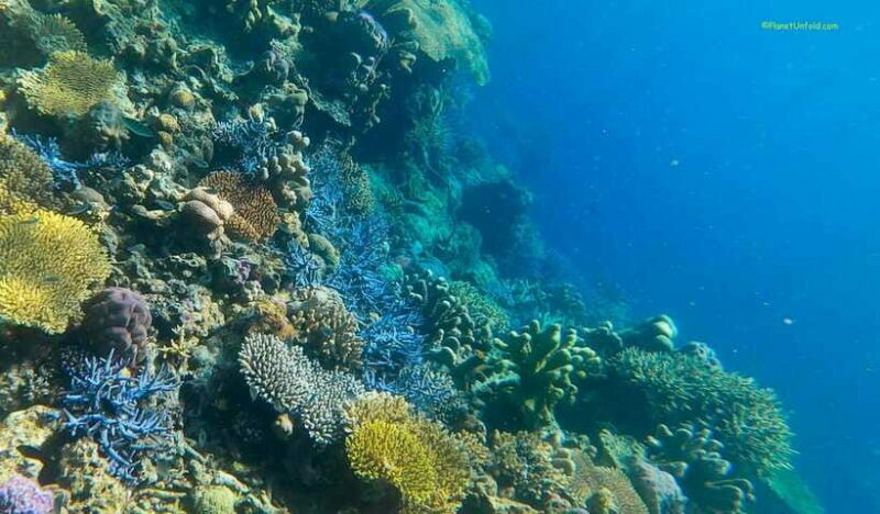 Palawan: Coron Island Super Ultimate Private Tour - FAQ