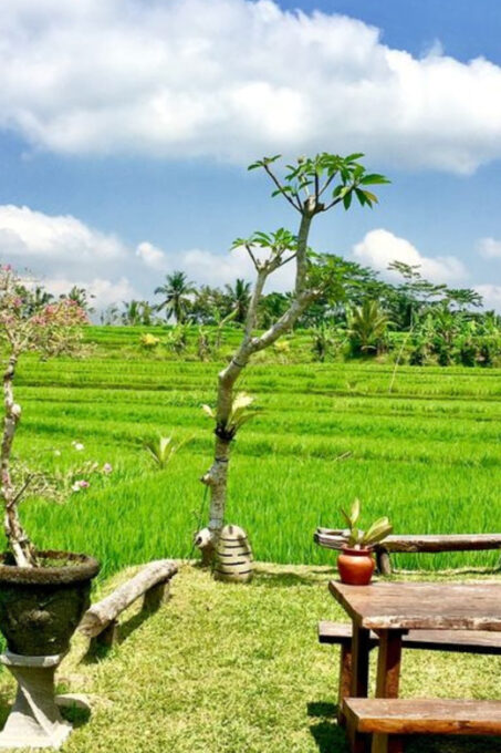 Palawan Inland Experience - Reservation and Cancellation Policy