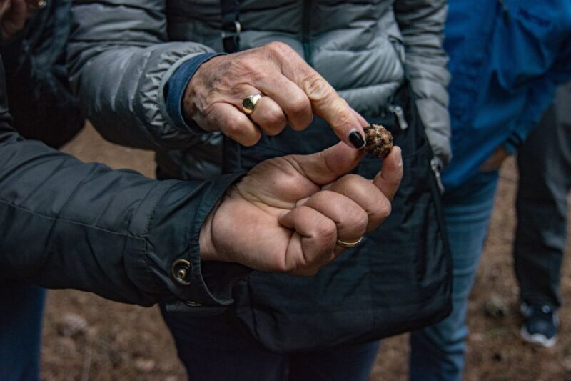 Palazzolo Acreide: Truffle Hunt With 3-Course Meal and Wine - Meal Details