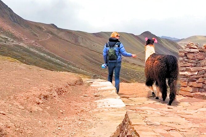 Palcoyo Colored Mountain Excursion, Walk With Llamas - Itinerary and Activities