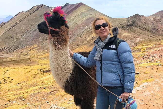 Palcoyo Colored Mountain Excursion, Walk With Llamas - Inclusion and Costs